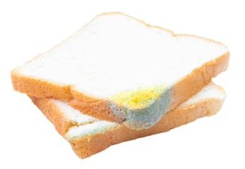 Bread molded on file png