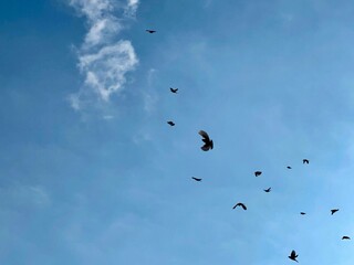 paragliding in the sky