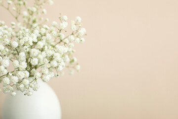 Closeup view of white baby breath flowers in a white vase on light peach blush background with copy space