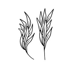 Set of leaves black line art isolated on white background