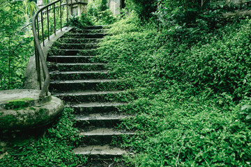 A staircase is surrounded by green grass and bushes