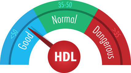 Fototapeta premium LDL Good Cholesterol scale with number level in good, normal and dangerous. Medical and health care concept. 