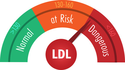 LDL Bad Cholesterol scale with number of level in normal, at risk and dangerous caused unhealthy and illness. Medical and health care concept.