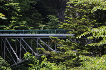 飛龍橋