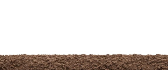 realistic soil and plants row isolated on white background - obrazy, fototapety, plakaty