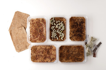 Kit for growing microgreens, a special tray, jute mats and a set of seeds in a package, top view.