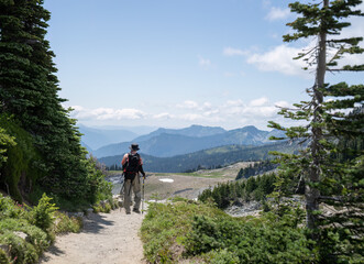 Fototapeta premium Man hiking Skyline Trail. Mt Rainier National Park. Washington State.
