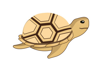 Funny tortoise or sea tutrtle icon clipart. 