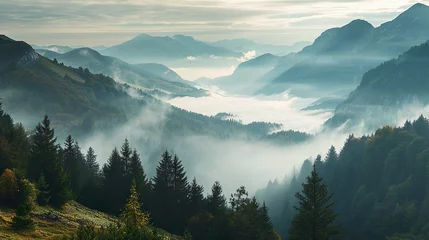 Rolgordijnen zonder boren Tatra fog in the mountains
