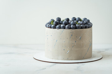 Cute chocolate cake with grey chocolate frosting decorated with colorful sprays and blueberries on top. White background