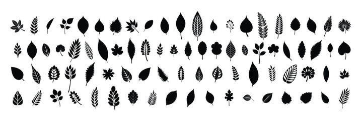 Big collection of leaves silhouettes. Hand drawn vector art. © clelia-clelia