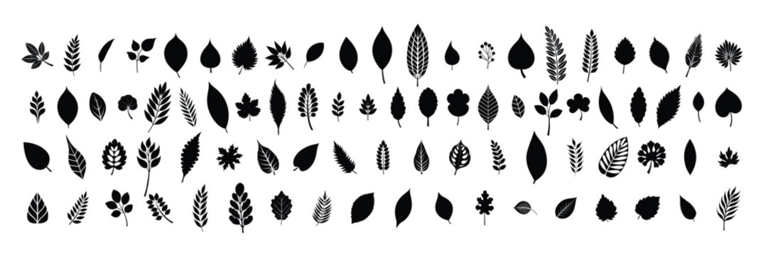 Big collection of leaves silhouettes. Hand drawn vector art.