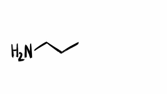 Lysine skeletal structure and molecular formula hand written in black color on white background in scribble style animation. Chemistry compound of essential amino acid having role in protein synthesis