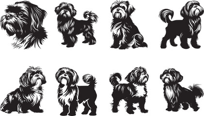 Black and white illustrations of Shih Tzu dogs perfect for dog breed enthusiasts and pet-themed projects