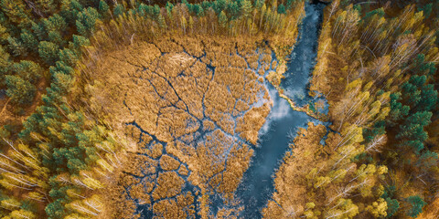Spring Season. Aerial View. Young Birches Grow Among Small Marsh Bog Swamp River. Deciduous Trees With Young Foliage Leaves In Landscape In Early Spring. - 766170138