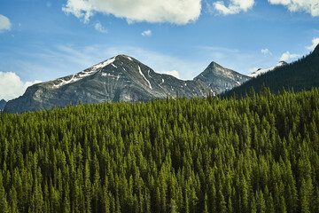 Fototapeta premium Mountains