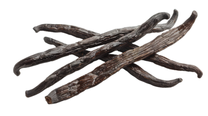 Vanilla beans isolated on transparent background