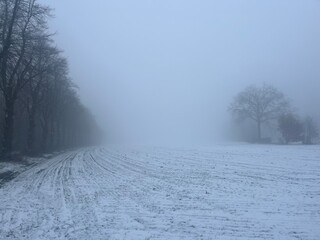 Winter snowy field in the fog and mist