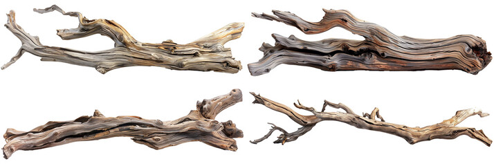 Driftwood transparent png four pack - obrazy, fototapety, plakaty