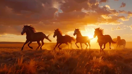 Wild horses running at sunset  © ArtBox