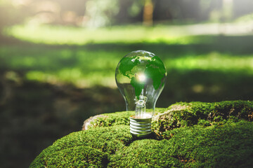 Renewable Energy.Environmental protection achieve business goals environment with light bulb that...
