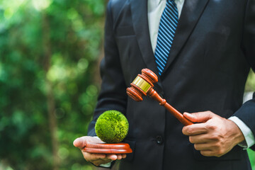 Law and Environment principles of sustainable environmental conservation Earth destruction and destroy environmental global