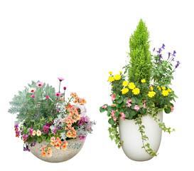 寄せ植え