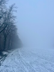 Winter snowy field in the fog and mist