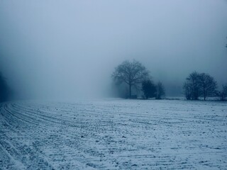 Winter snowy field in the fog and mist