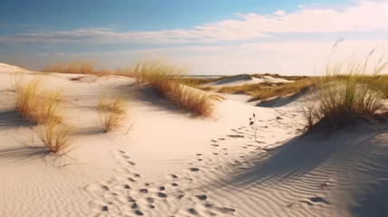 Foto op Plexiglas Grassy sand dunes on the Baltic Sea © Zie