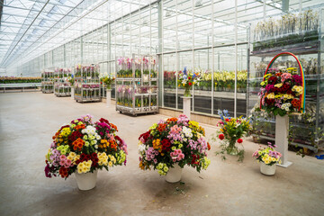 comercial greenhouse for flowers - 766181370