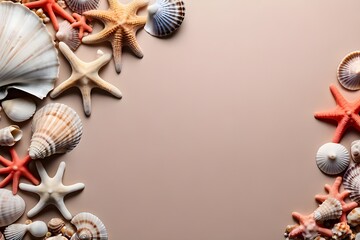frame of seashells and starfish