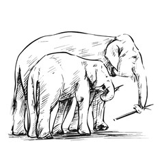 Drawing of elephants mom and baby