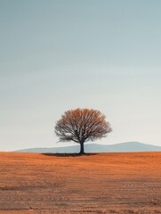 Lone tree in a desolate landscape, half in shadow, evoking solitude,