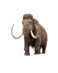 Obraz premium Mammoth isolated on transparent background