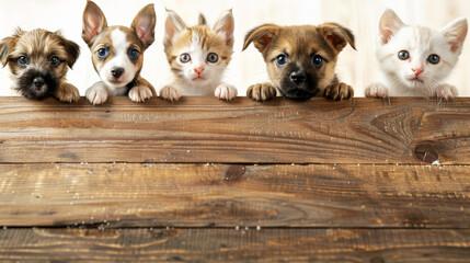 Obraz premium Adorable Pet Promotions: Puppies and Kittens Behind Wooden Banner. Generative AI