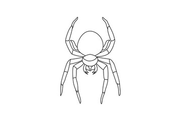 Spider One Line Drawing of minimal out line abstract vector art drawing