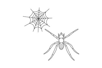 Spider One Line Drawing of minimal out line abstract vector art drawing