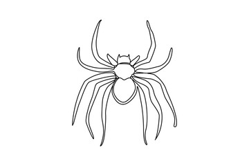 Spider One Line Drawing of minimal out line abstract vector art drawing