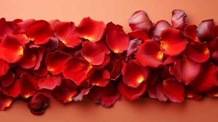  a close up of a bunch of red flowers on a pink background with one flower in the middle of the picture and one flower in the middle of the frame.