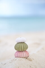 Obraz premium 砂浜の風景