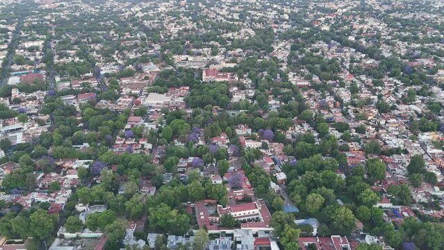 Aerial image of red roofs in Coyoacan, CDMX