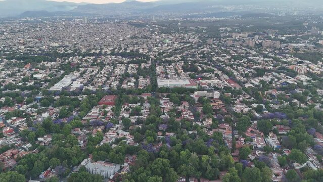Aerial images of Coyoacan neighborhood in CDMX, springtime when the jacarandas bloom. Sunset
