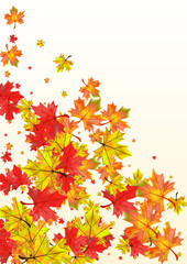 Autumnal Leaves Background Beige Vector. Floral Ground Frame. Yellow Canadian Plant. November Foliage Texture.