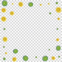 Fototapeta na wymiar Green Citrus Background Transparent Vector. Half Decoration. Greenish Lime Colorful. Print Lemon Bright Illustration.