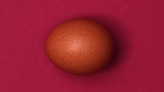Easter egg on different colorful paper backgrounds. 4K Stop motion animation.