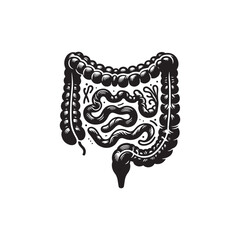Human Intestine Silhouette Vector: Illustrating the Digestive System's Complexity in Simplified Form- intestine vector stock.