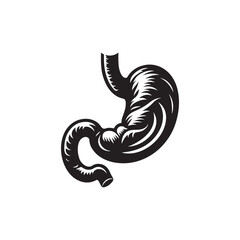 Human Stomach Silhouette Vector: Depicting the Digestive Organ's Form and Function in Simplified Form- Stomach vector stock.