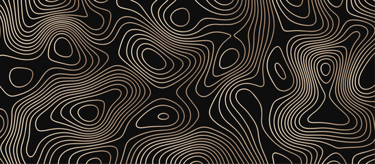 Fototapeta premium Abstract outline topographic contour map background. Dark texture background for your perfect interior. Old paper texture design .geographical map Imitation. 