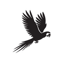 Parrot Silhouette Vector: A Simplified Depiction of Avian Beauty and Grace- Parrot vector stock.